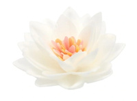 Kwiat lotosu dekoracja waflowa na tort śr. 7 cm 1 szt. BIAŁY