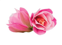 Dekoracja waflowa Magnolia RÓŻOWA 3 szt. Rose Decor