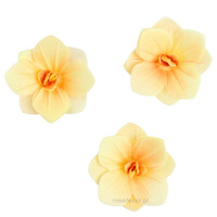 Dekoracja waflowa Hortensja MIODOWA 6 szt. Rose Decor