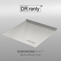 Blacha do pieczenia pod rant 25x25 cm DR ranty
