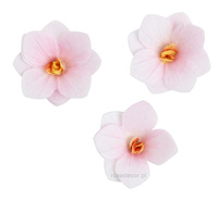 Dekoracja waflowa Hortensja CIENIOWANA RÓŻOWA 6 szt. Rose Decor