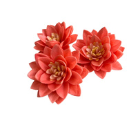 Kwiaty lotosu waflowy na tort śr. 7 cm KORAL