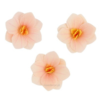 Dekoracja waflowa Hortensja PUDROWA 6 szt. Rose Decor