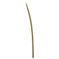 Liść 91 Fiore